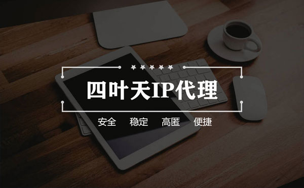 【周口代理IP】如何快速搭建代理IP？怎么检查代理的效果？